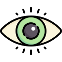 Eye